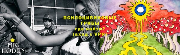 твердый Новодвинск