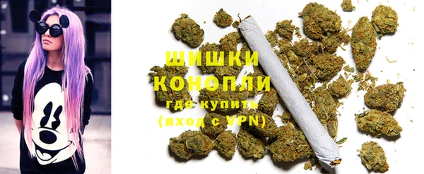 твердый Новодвинск