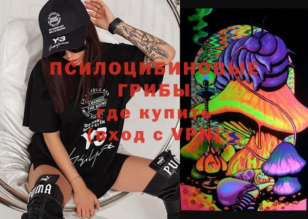 соль ск Новозыбков