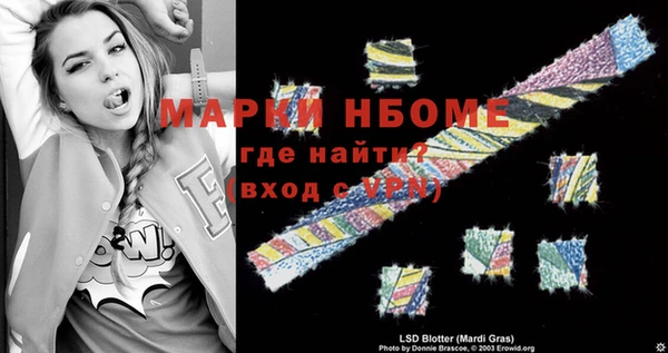 соль ск Новозыбков